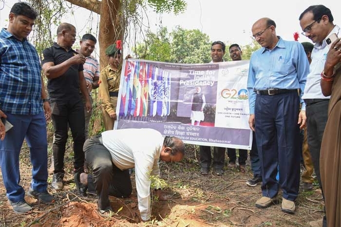 Plantation of tree for G-20 jan Bhagidari events