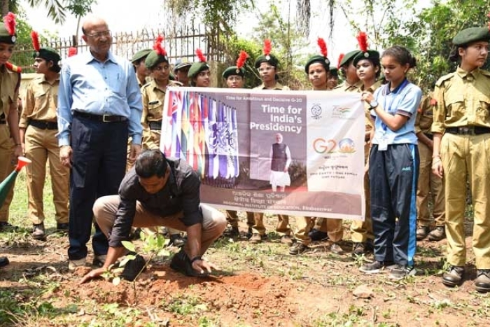 Plantation of tree for G-20 jan Bhagidari events